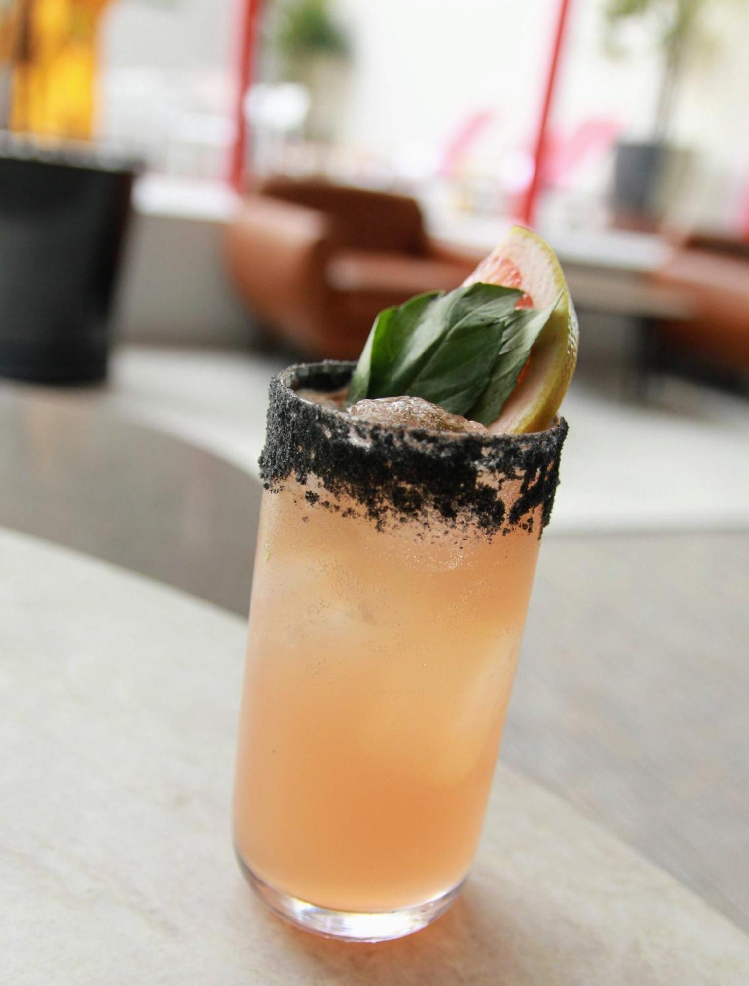 Metria Hotel 莱昂 外观 照片 Paloma cocktail